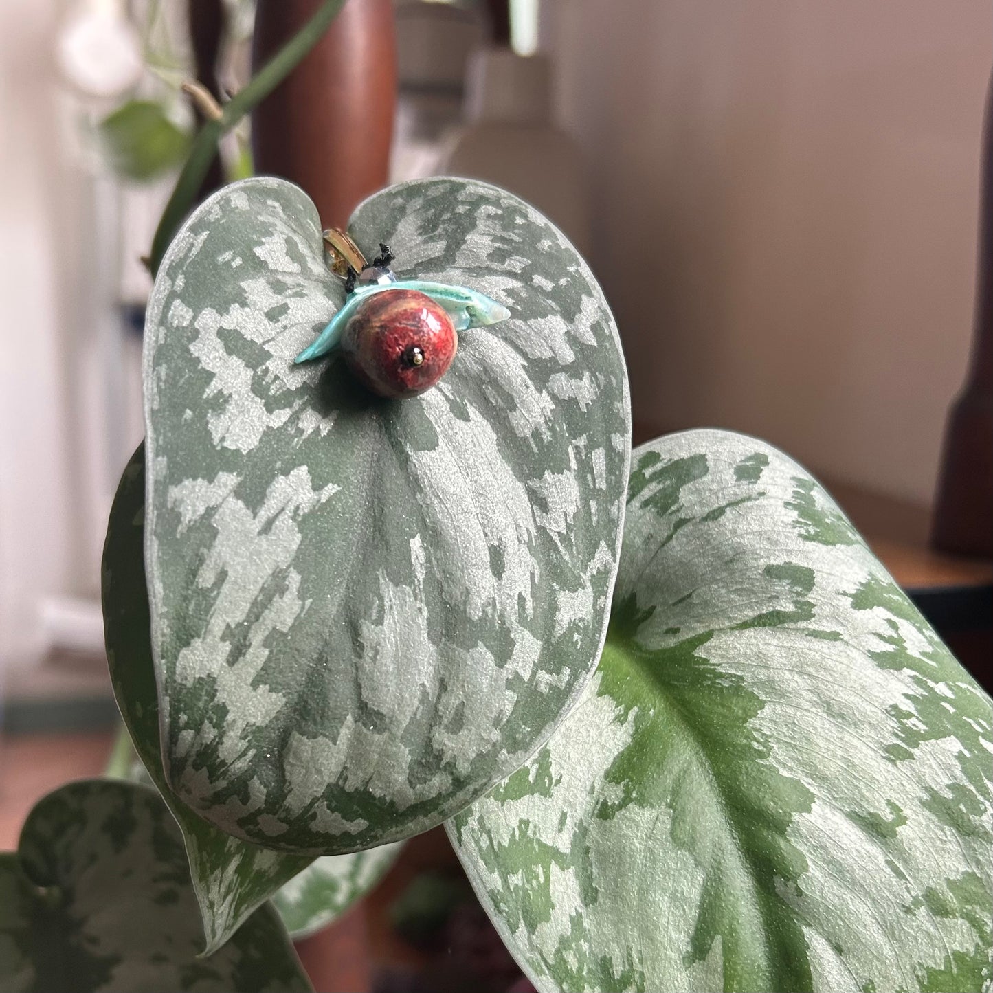 Orecchini “Insetti”