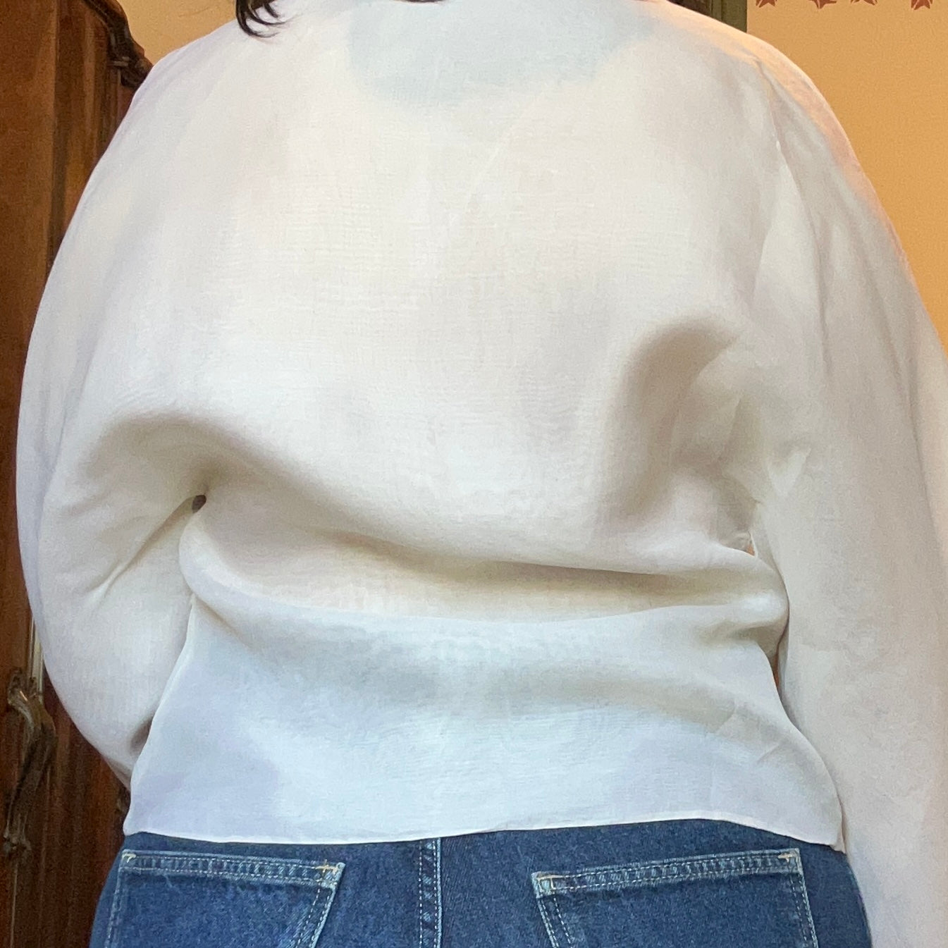 Camicia in organza