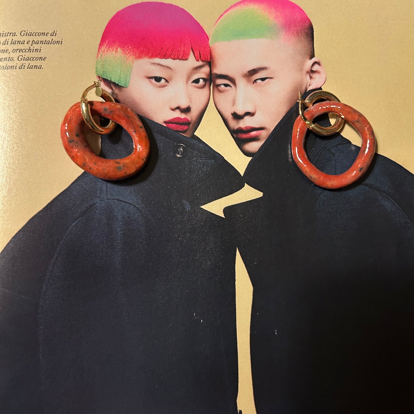 Orecchini “Rosso di Verona”