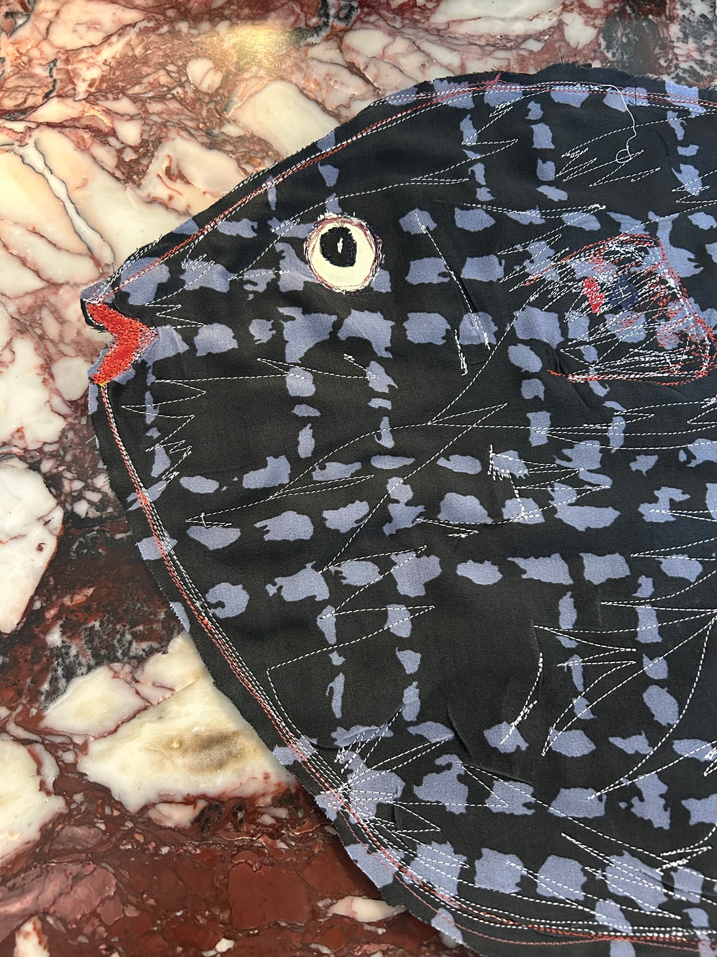 Pesce scuro